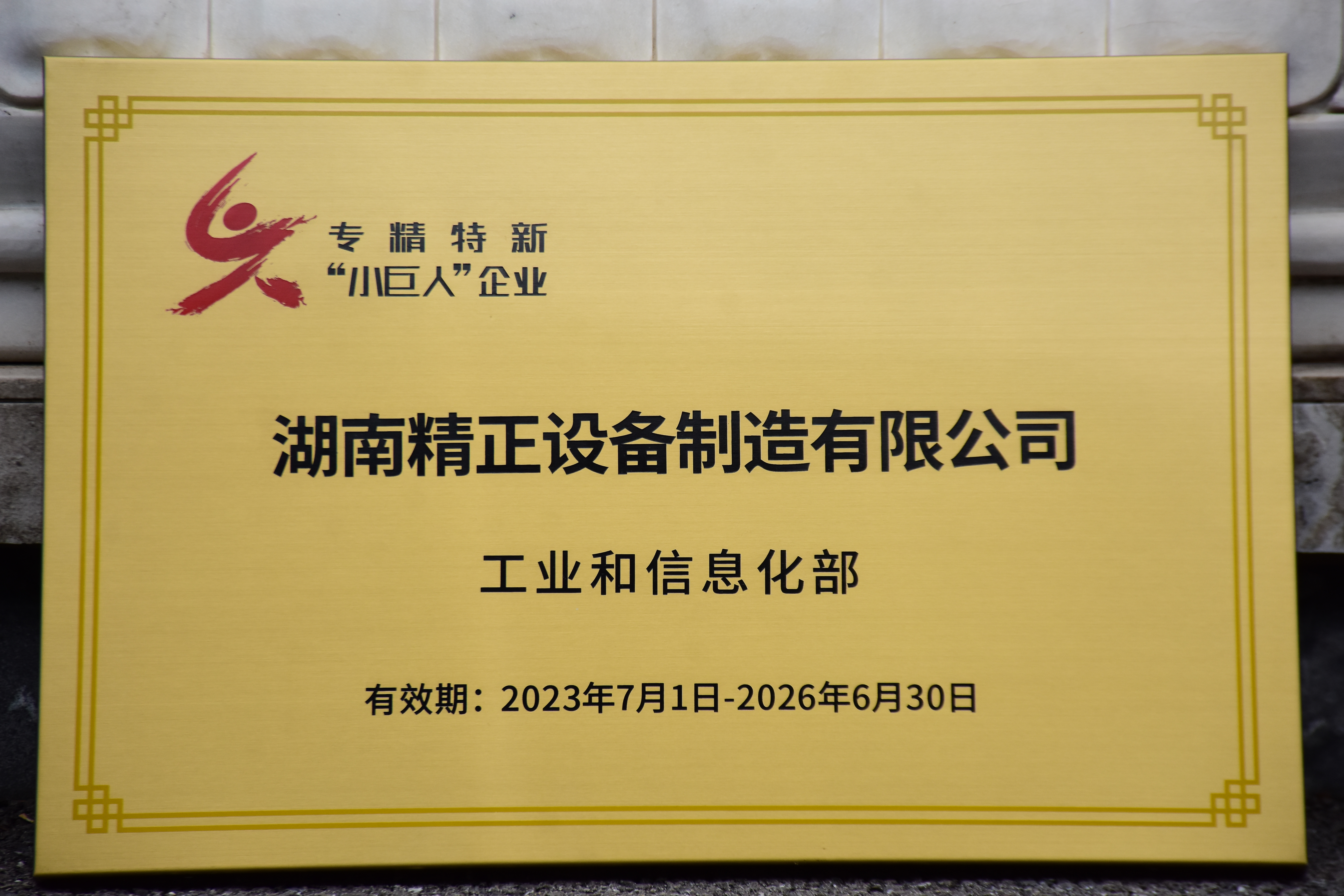 拼搏在线平台(中国)官网获得“专精特新”小巨人企业