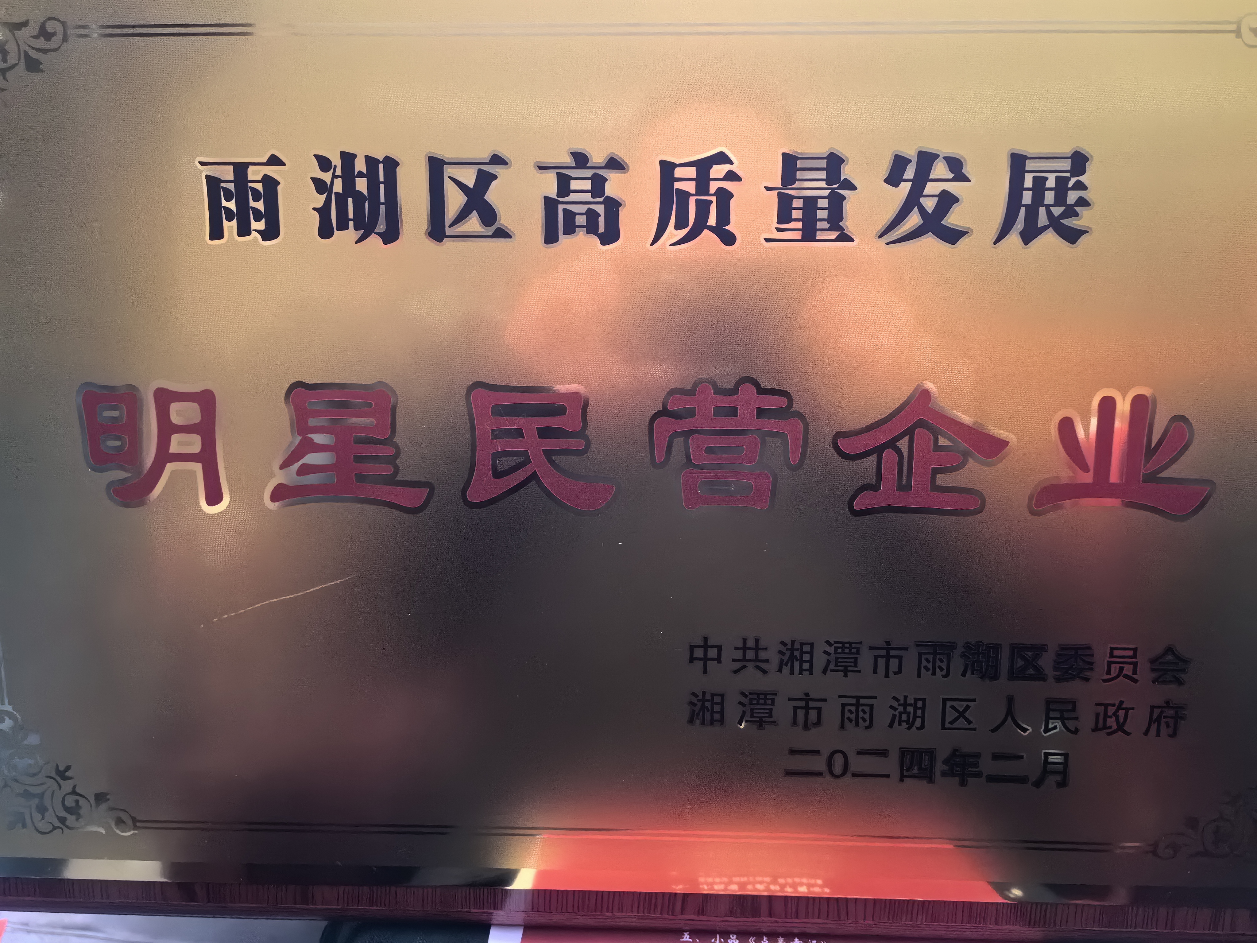 拼搏在线平台(中国)官网荣获“雨湖区高质量发展明星民营企业”称号